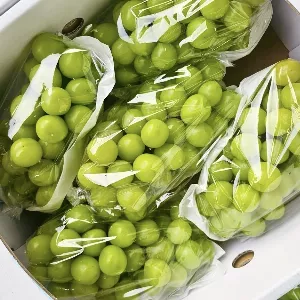 프로프룻 샤인머스켓, 특품, 2kg, 1박스